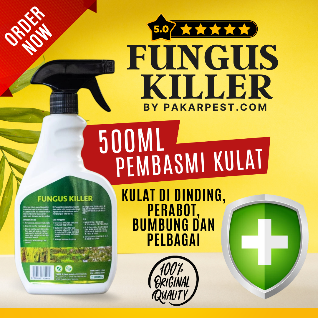 Kulat Killer | Penghapus Kulat | Fungus Killer