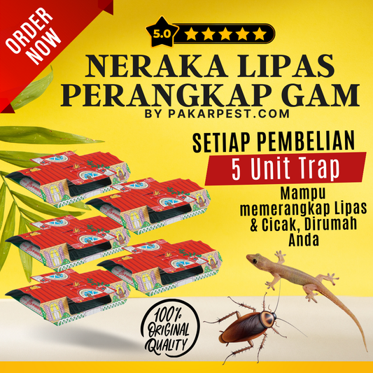 Neraka Lipas | Perangkap Lipas | Cockroach Trap (5 pieces)